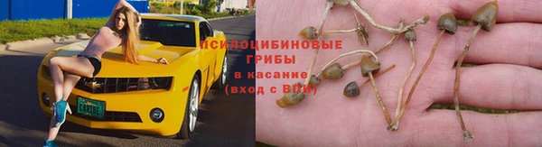 твердый Алексин