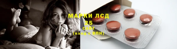 твердый Алексин