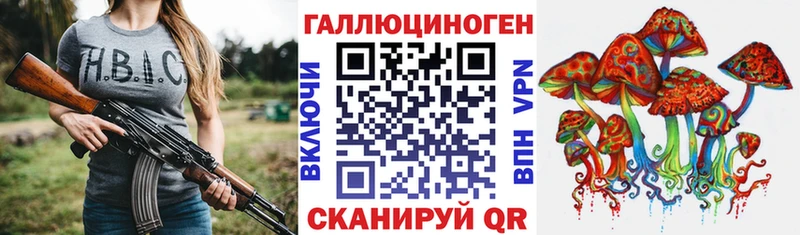 Псилоцибиновые грибы мицелий  кракен вход  Камышин 