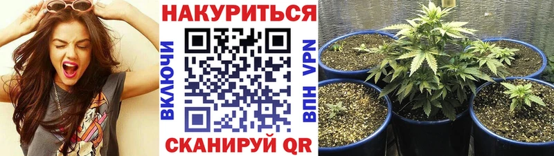 Бошки Шишки AK-47  Камышин 